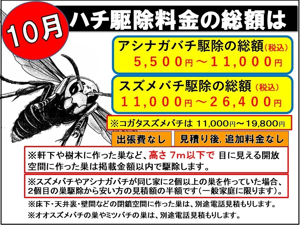 ハチ駆除のトータル料金を月別に公開