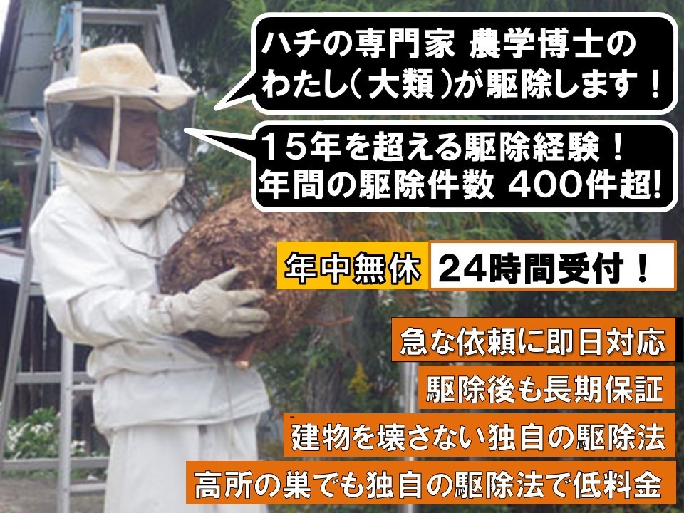年中無休・24時間受付で年間のハチ駆除件数400件超